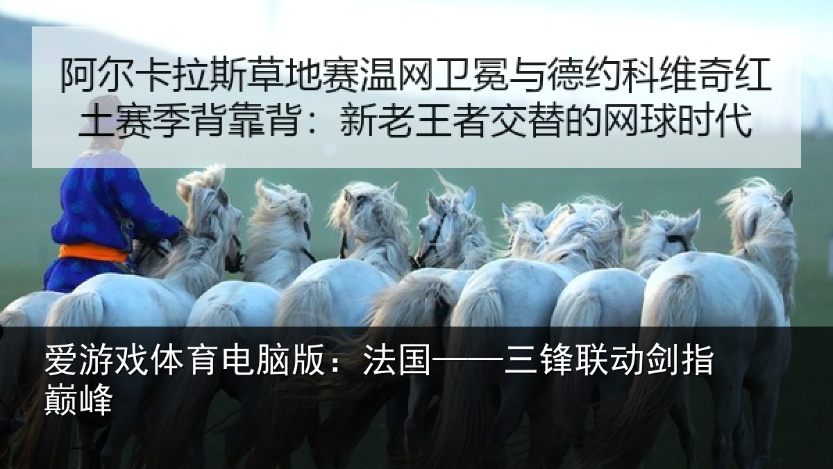 爱游戏体育电脑版：法国——三锋联动剑指巅峰